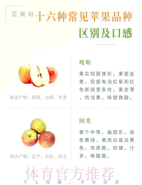 世界杯盘口苹果热门推荐解析与分析 世界杯盘口苹果热门推荐解析与分析