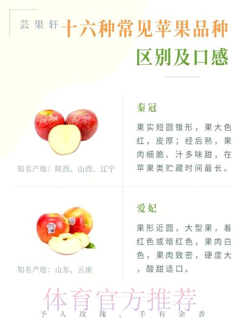 世界杯盘口苹果热门推荐解析与分析 世界杯盘口苹果热门推荐解析与分析